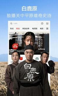 吃瓜主持人预言视频下载,下载背后的真相与热议