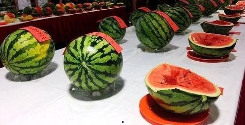 南宁清吧吃瓜事件视频,一场引发热议的冲突瞬间