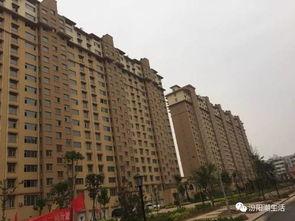 汾阳东方国际城吃瓜视频,揭秘社区生活百态