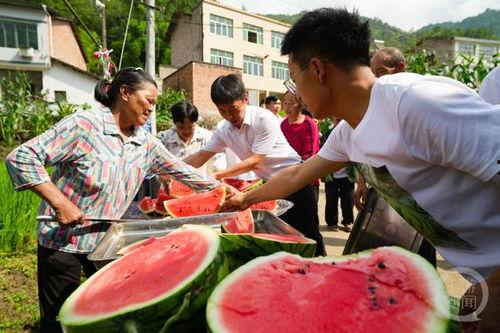 村里面吃瓜视频,揭秘乡村生活趣味瞬间