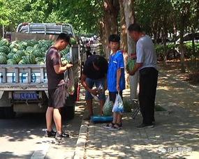 莘县吃瓜群众事件视频曝光,视频曝光引发社会关注