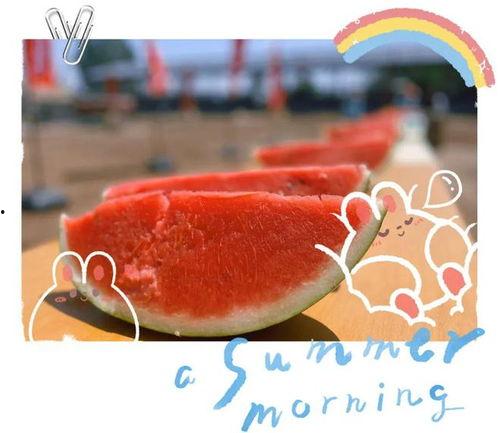 大型吃瓜现场原创视频,揭秘幕后真相,带你领略娱乐圈风云变幻