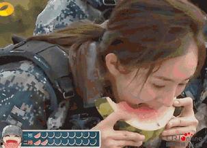 男子吃瓜群众摔倒视频播放,这瓜太“硬”了!