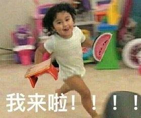 吃瓜群众迷妹视频在线观看,揭秘吃瓜群众在线观看迷妹视频的狂热世界